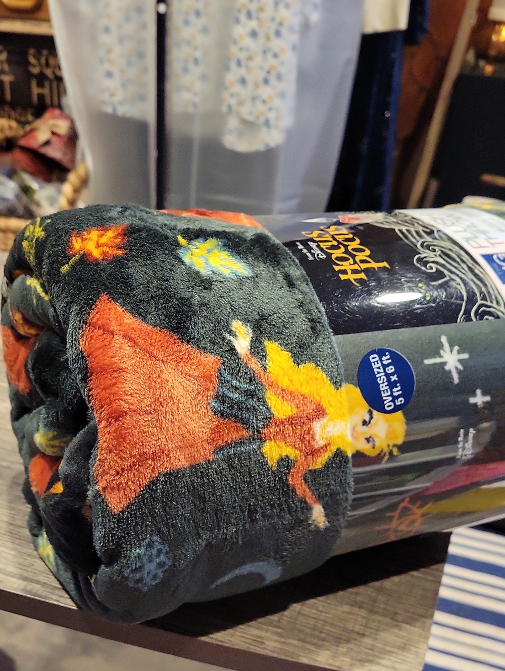 Hocus Pocus * Oversized Throw, NWT / RARE - Picture 8 of 8
